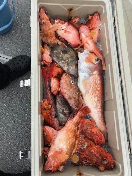 へいみつ丸 釣果