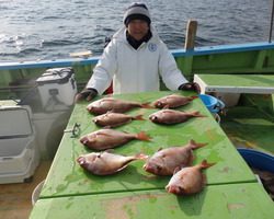 久里浜黒川本家 釣果