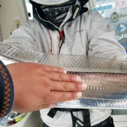 遊漁船　ニライカナイ 釣果