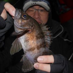 TOPGUN名古屋 釣果