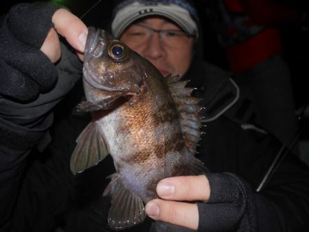 TOPGUN名古屋 釣果