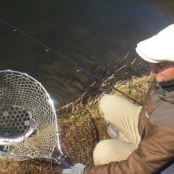 高萩ふれあいの里フィッシングエリア 釣果
