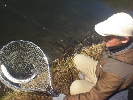 高萩ふれあいの里フィッシングエリア 釣果