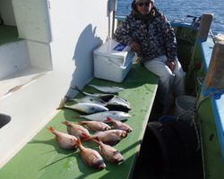 久里浜黒川本家 釣果