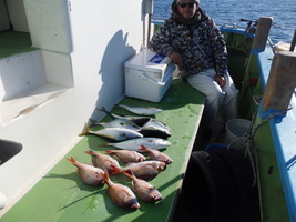 久里浜黒川本家 釣果