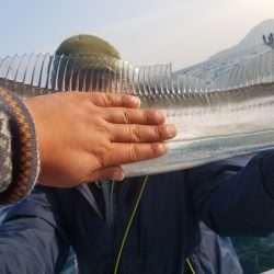 遊漁船 ニライカナイ 釣果