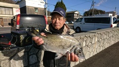 まこと渡船 釣果