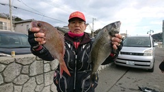 まこと渡船 釣果
