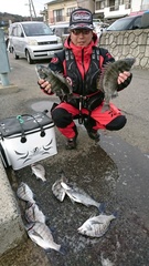 まこと渡船 釣果