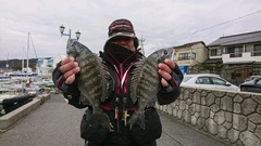 まこと渡船 釣果