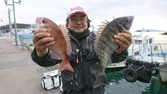 まこと渡船 釣果