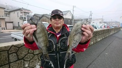 まこと渡船 釣果