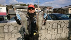 まこと渡船 釣果