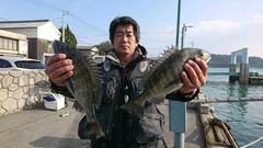 まこと渡船 釣果
