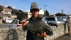 まこと渡船 釣果