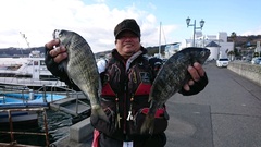 まこと渡船 釣果