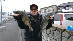 まこと渡船 釣果