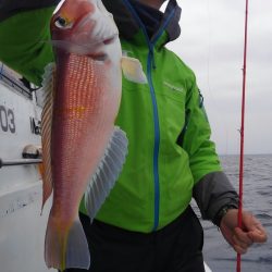 遊漁船 新鋭丸 釣果