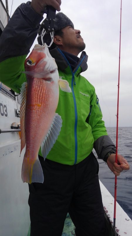 遊漁船 新鋭丸 釣果