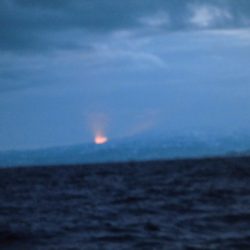 大進丸(新潟) 釣果