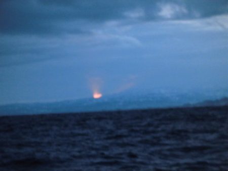 大進丸(新潟) 釣果