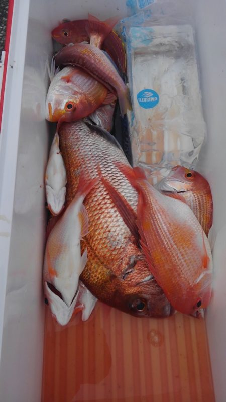 遊漁船 新鋭丸 釣果