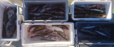 気仙沼 つり丸 釣果