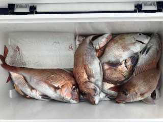 なかくに丸 釣果