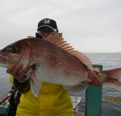 なかくに丸 釣果