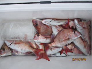 なかくに丸 釣果