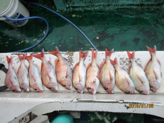 なかくに丸 釣果