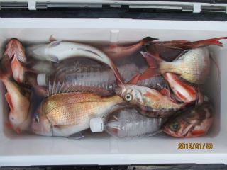 なかくに丸 釣果