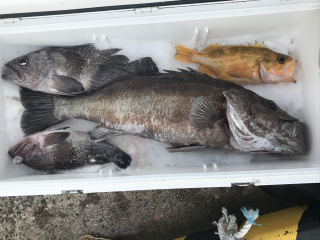 なかくに丸 釣果