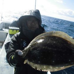 大進丸（愛知） 釣果