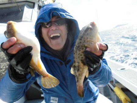 大進丸（愛知） 釣果