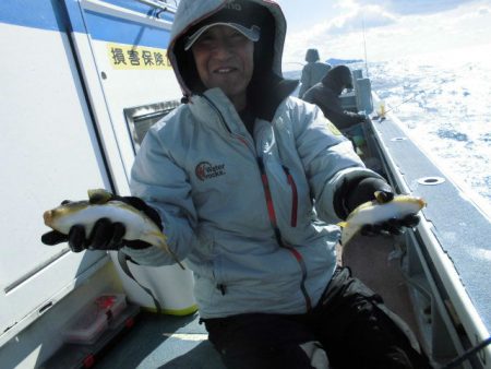 大進丸（愛知） 釣果