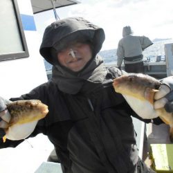 大進丸（愛知） 釣果