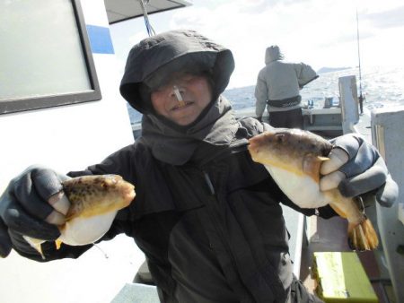 大進丸（愛知） 釣果