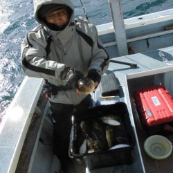 大進丸（愛知） 釣果