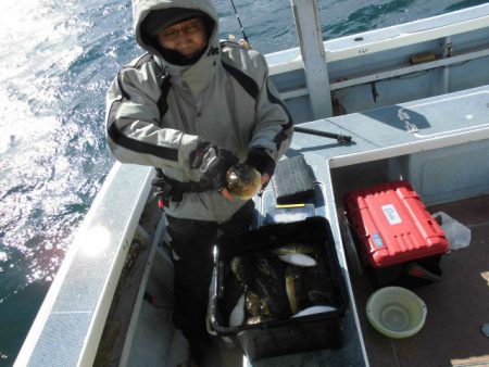 大進丸（愛知） 釣果