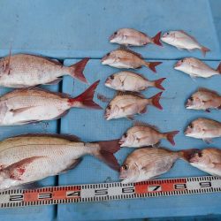 十八宝洋丸 釣果