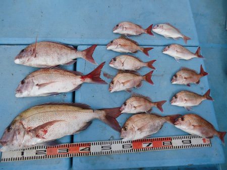 十八宝洋丸 釣果