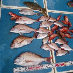 十八宝洋丸 釣果