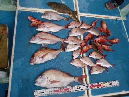 十八宝洋丸 釣果