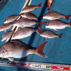 十八宝洋丸 釣果