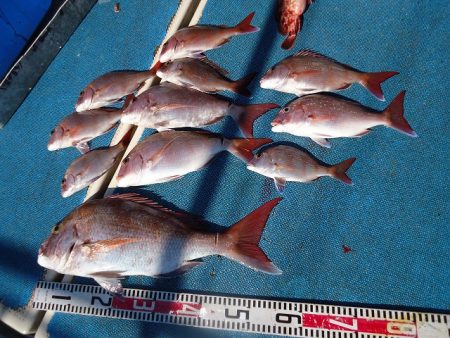 十八宝洋丸 釣果