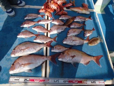 十八宝洋丸 釣果