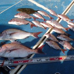 十八宝洋丸 釣果