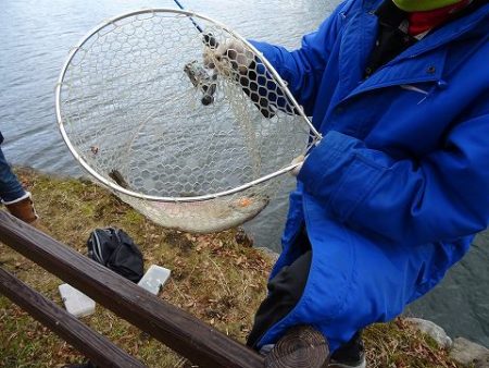 志高湖フィッシング 釣果