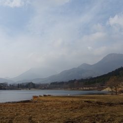 志高湖フィッシング 釣果